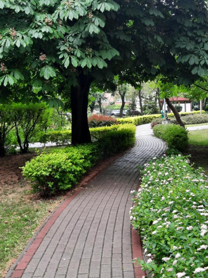 Apartament W Centrum Wroclawia Apartment Cameră foto