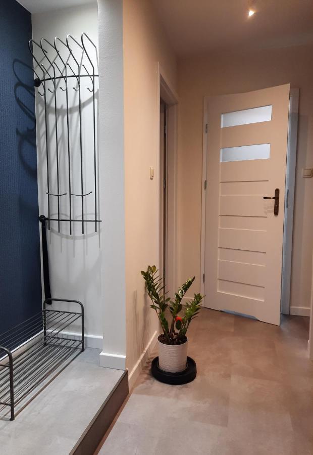 Apartament W Centrum Wroclawia Apartment Exterior foto